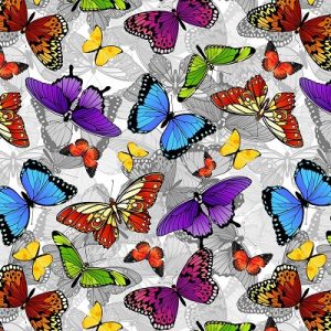 Colourful Butterflies