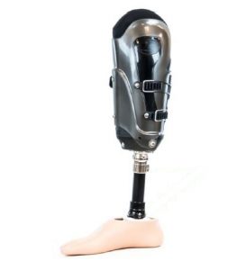 Prosthetics – Prosthetic and Orthotic Components and Consumables