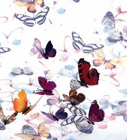 Transfer Paper - Butterflies